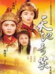天地奇英之花木兰电视剧海报