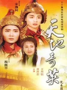 天地奇英之花木兰电视剧海报