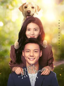 照亮你电视剧海报