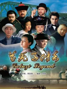 葛秃子传奇电视剧海报