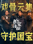 护宝寻踪电视剧海报