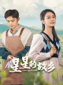 星星的故乡电视剧海报
