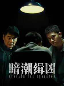 暗潮缉凶电视剧海报