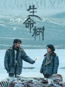 生命树电视剧海报