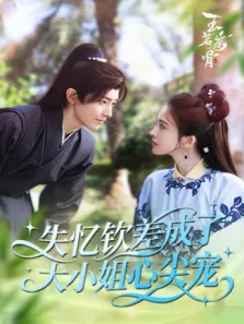 失忆钦差成了大小姐心尖宠电视剧海报