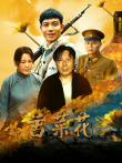 苦菜花电视剧海报