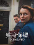 贴身保镖电视剧海报