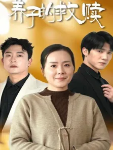 养子的救赎电视剧海报