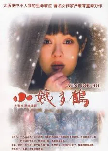小姨多鹤电视剧海报