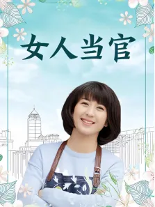 女人当官电视剧海报