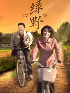 绿野电视剧海报