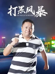 打黑风暴电视剧海报