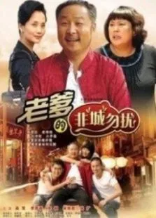 老爹的非城勿扰电视剧海报