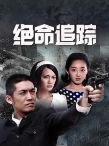 绝命追踪电视剧海报