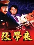 张学良电视剧海报
