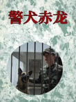 警犬赤龙电视剧海报