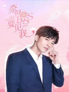 奈何boss要见我电视剧海报