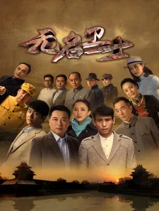 无名卫士电视剧海报