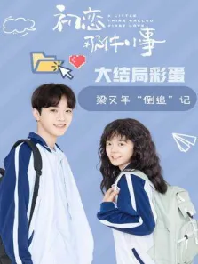初恋那件小事·梁又年倒追记电视剧海报