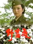 野蔷薇电视剧海报