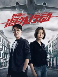 刑警之海外行动电视剧海报