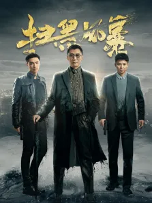 扫黑风暴电视剧海报
