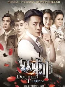 双刺[DVD版]电视剧海报