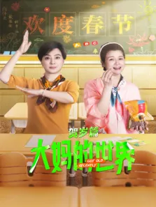 大妈的世界 贺岁篇电视剧海报