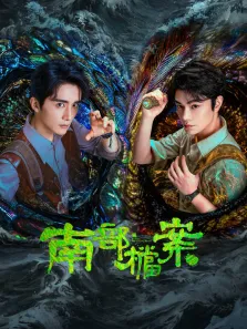 南部档案电视剧海报