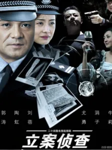 立案侦查电视剧海报