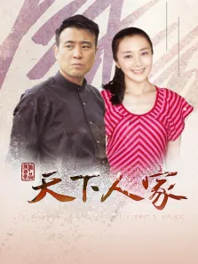 天下人家电视剧海报