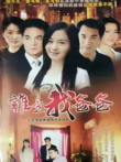 谁是我爸爸电视剧海报