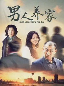 男人养家电视剧海报