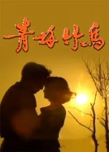 青梅竹马电视剧海报