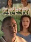 真情相约电视剧海报