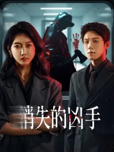 消失的凶手电视剧海报