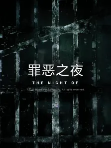 罪恶之夜电视剧海报