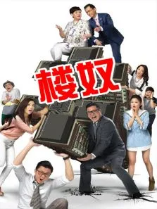 楼奴电视剧海报