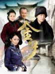 金子电视剧海报