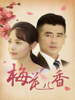梅花儿香电视剧海报