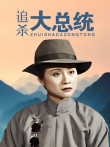 追杀大总统电视剧海报