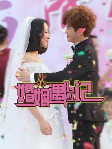 婚姻遇险记电视剧海报