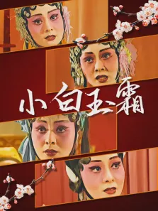 小白玉霜电视剧海报
