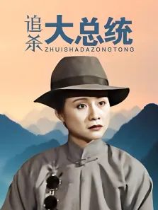 追杀大总统电视剧海报