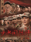 少共国际师电视剧海报
