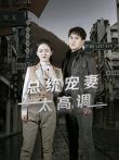 总统宠妻太高调电视剧海报