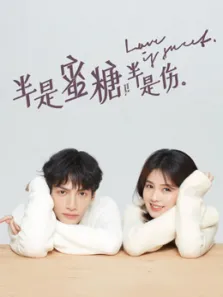 半是蜜糖半是伤电视剧海报