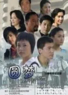 圆梦电视剧海报