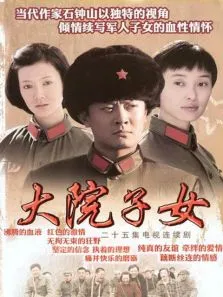大院子女电视剧海报