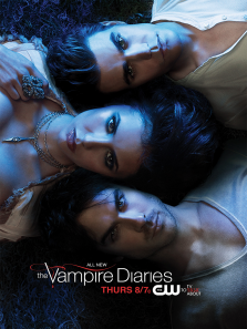 ��Ѫ���ռǵ�2��